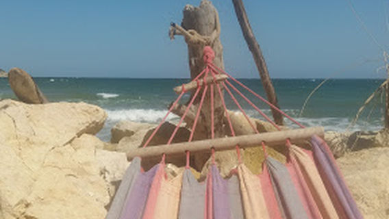 Byala
