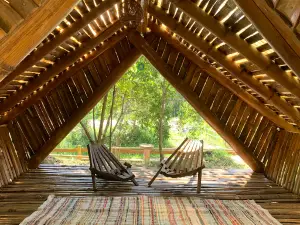 Camping dos Pinheiros