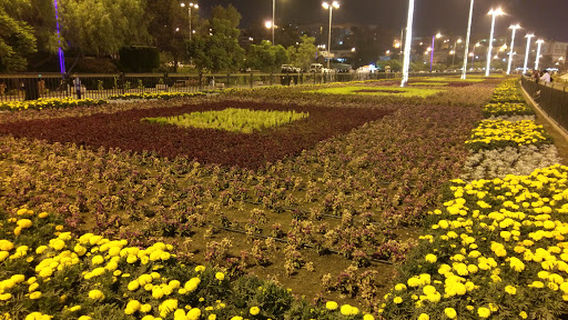 Abha Flowers Park
