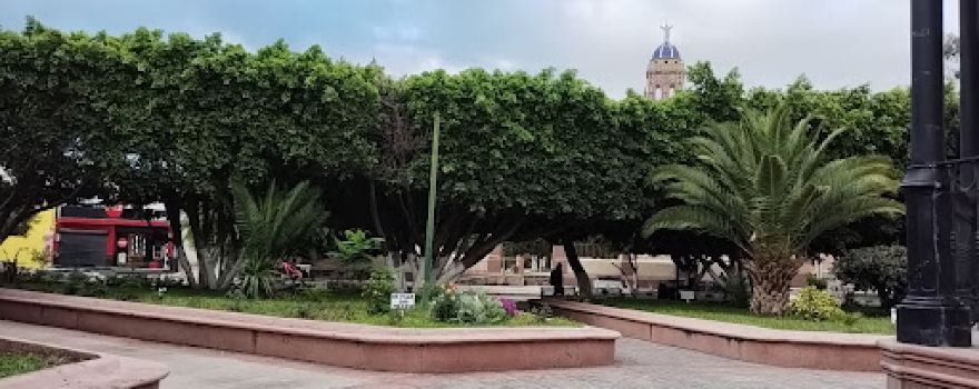 Plaza Principal del Encinal