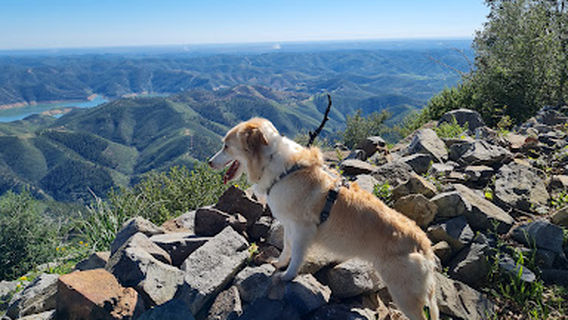 Castelo de Alferce ou da Pedra Branca (vestígios)