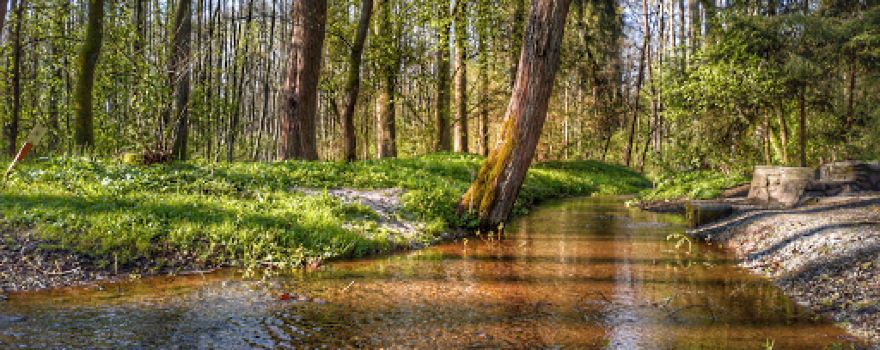 Studánka Prelátka