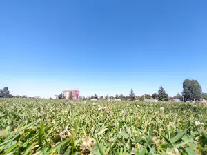 Atatürk Stadyumu