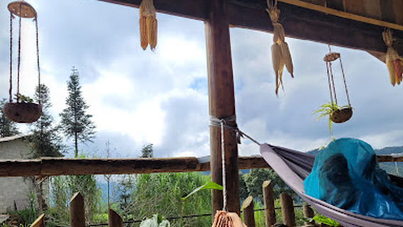 Viewpoint Tam giác mạch