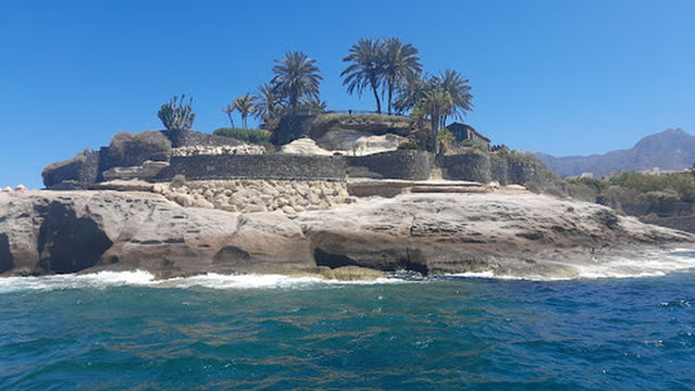 Whale Watch Tenerife