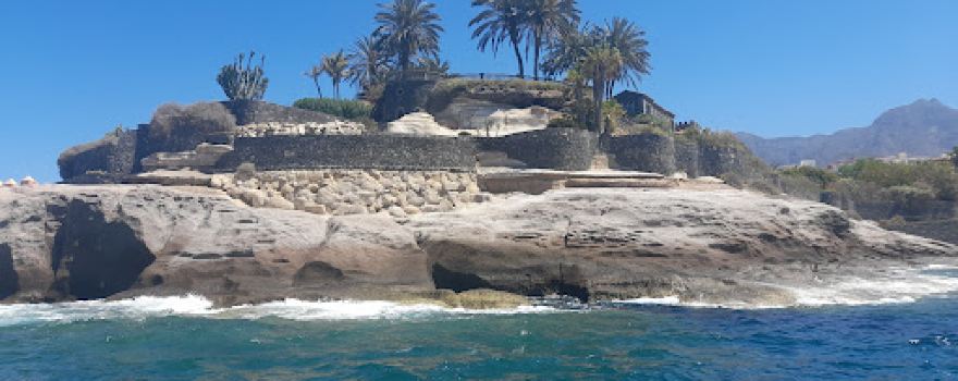 Whale Watch Tenerife