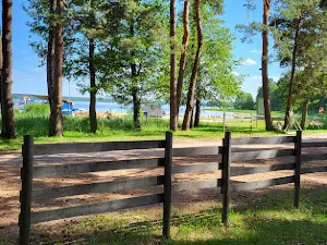 Daugavpils Tarzāns