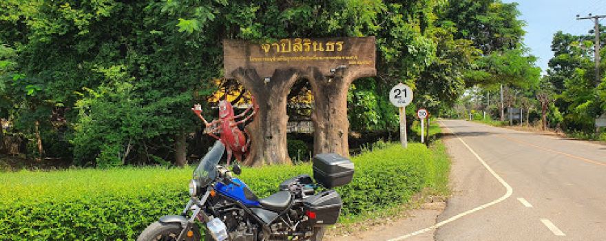 Champi Sirindhorn