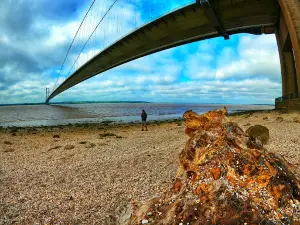 Hessle Foreshore