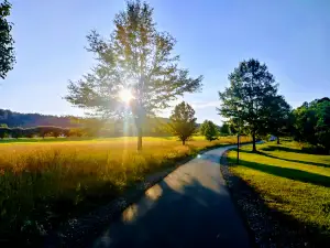 Jack Dalton Park