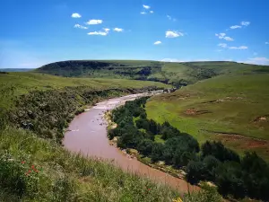 Tina River Meander View Point
