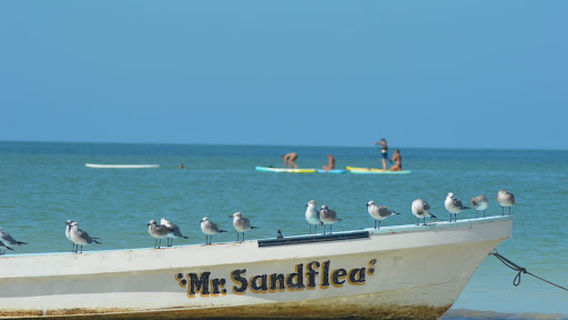 Kayaking Holbox