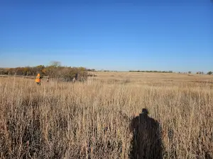 Bluestem Hunting Preserve