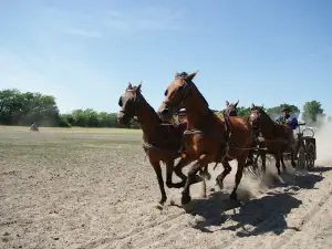 Révbéri Equestrian Center