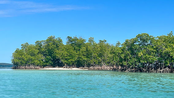 Cayo Barolo