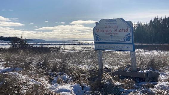Micou's Island