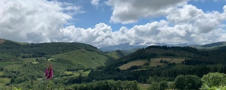 Coed-y-Brenin