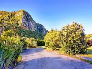 Punakaiki Beach Camp