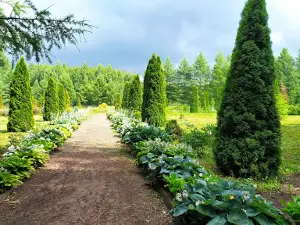 Usad'ba "Sledovo". Ekologo-Biologicheskiy Tsentr.