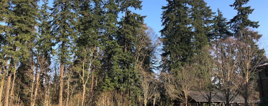Tualatin Community Park