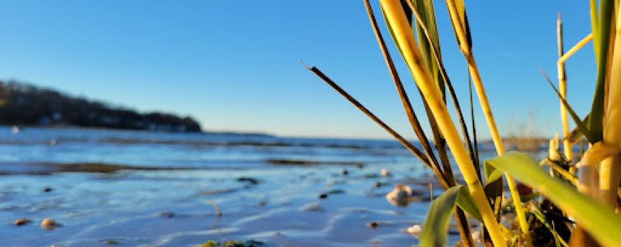 Centerport Beach Park