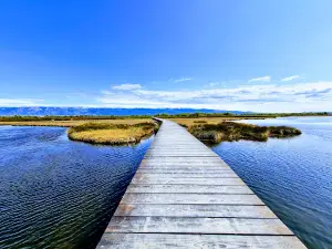 Kraljičina plaža