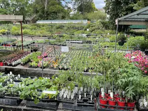 Wingham Nursery & Florist