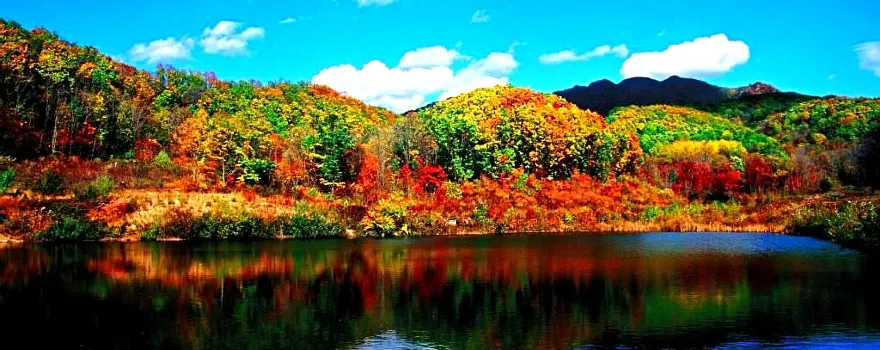 Gao Mountain Forest Park