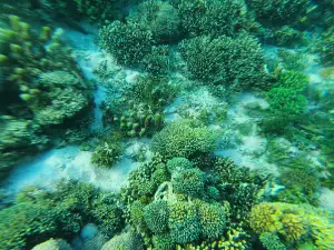 Pulau Siaba Besar
