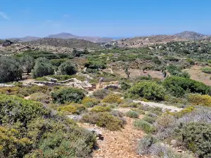 Flerio Melanes Kouros