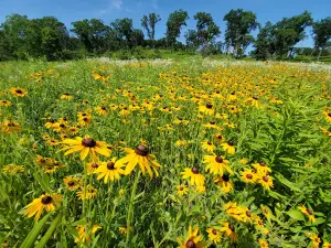 Observatory Hill State Natural Area