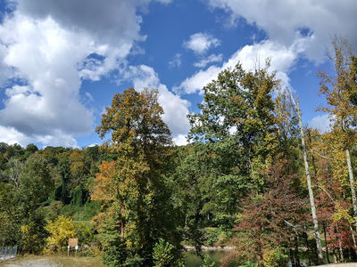 Grafton City Park and Campground