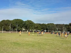 VC Mitchell Park