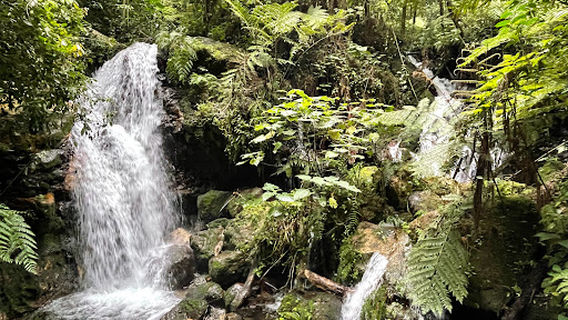 Bwindi Impenetrable National Park - Buhoma visitor center