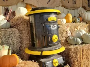 TLC Pumpkin Patch
