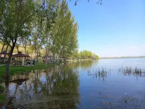 Yenice Municipality Pond Picnic Area