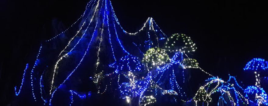 Giáo Xứ Ngũ Hiệp