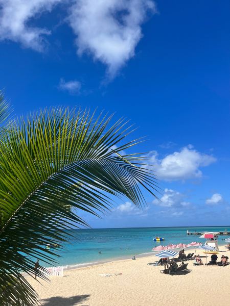 Maceio to Montego Bay Flights