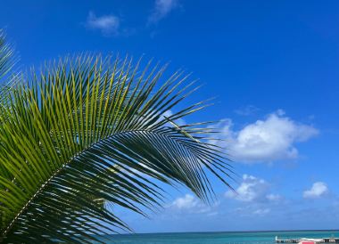 Montego Bay