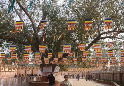 Mahabodhi Temple