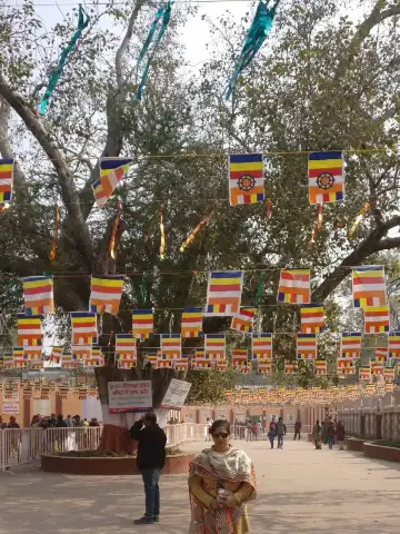 鄰近摩訶菩提寺的酒店