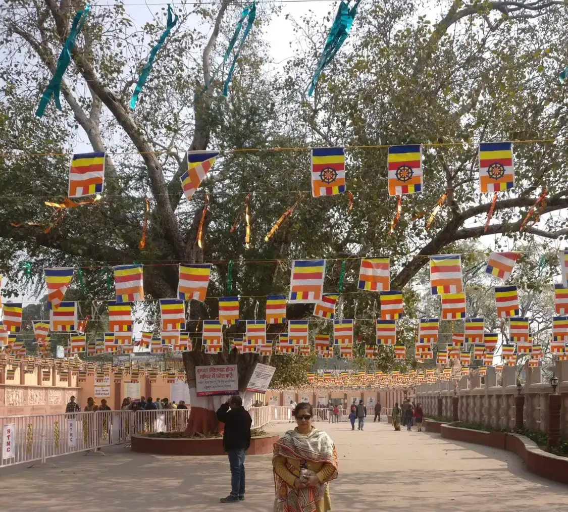 Hotels near Mahabodhi Temple
