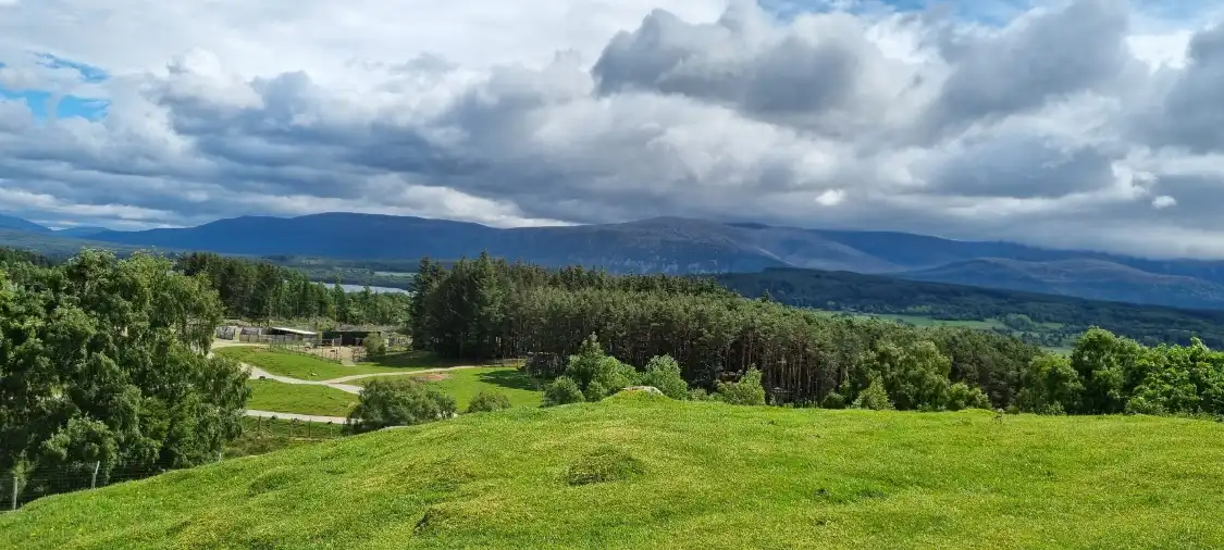 Các khách sạn gần Highland Wildlife Park