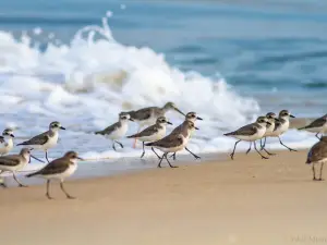 Sasihitlu Beach