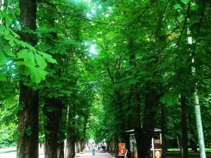 Central Park of Culture and Leisure of the city of Stavropol