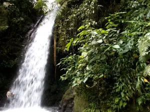 Curug Pangeran