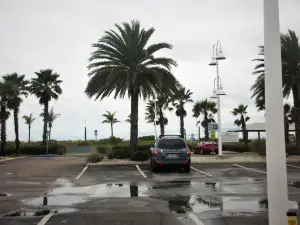 Archibald Beach Park