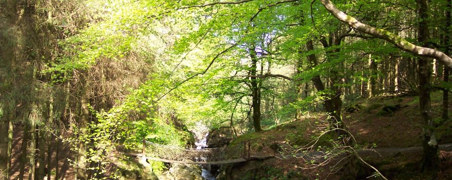 Hafod Uchtryd