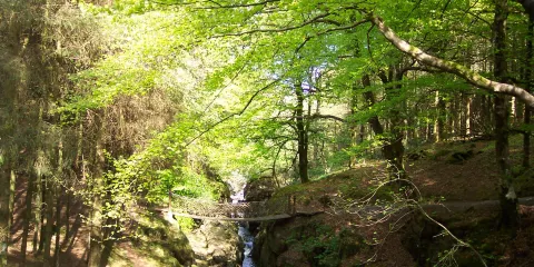 Hafod Uchtryd
