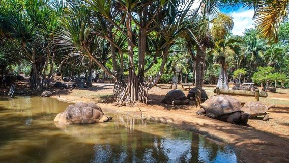 La Vanille Nature Park